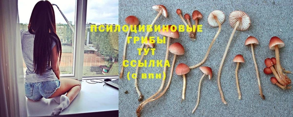 apvp Заволжье