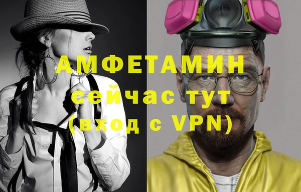 ПСИЛОЦИБИНОВЫЕ ГРИБЫ Заводоуковск