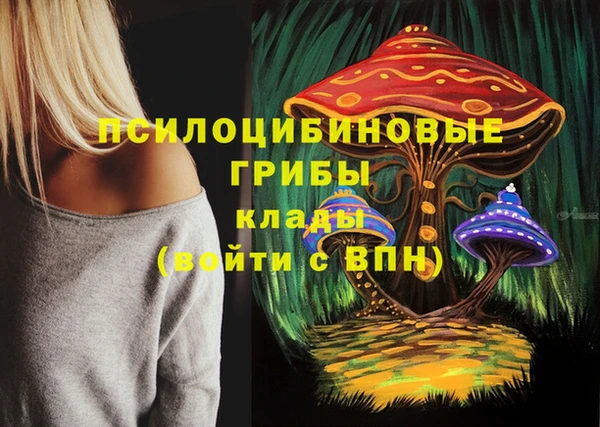 apvp Заволжье