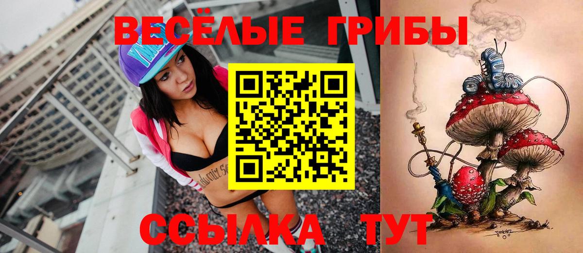 Галлюциногенные грибы Psilocybe Протвино