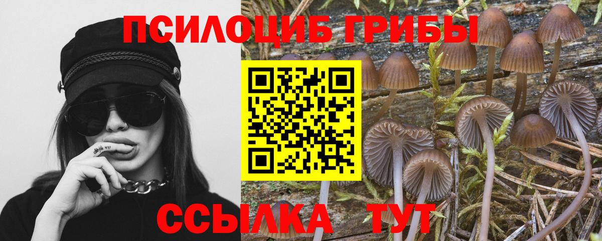 Галлюциногенные грибы MAGIC MUSHROOMS  Псилоцибиновые грибы MAGIC MUSHROOMS  Протвино  Вход с VPN 